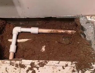 江门测漏水哪家好