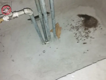 江门卫生间测漏水价格明细